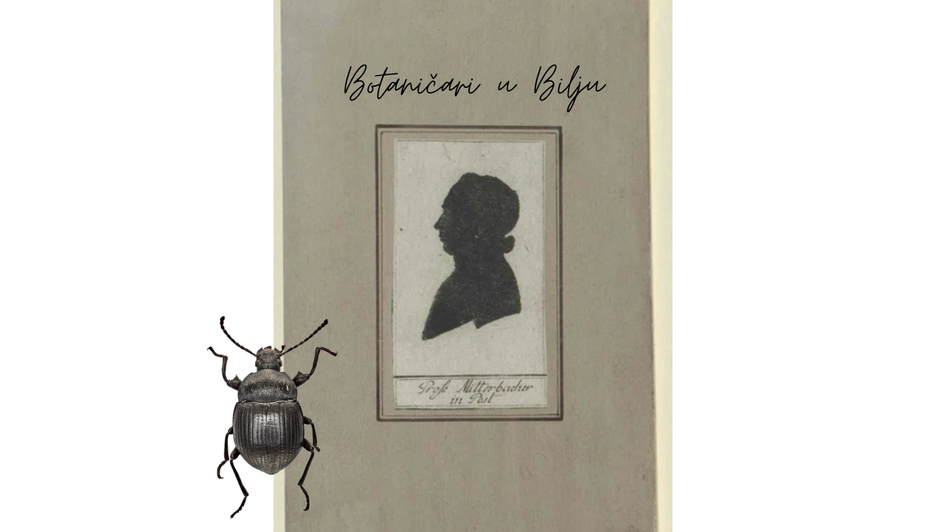 Gostovanje: Botaničari u Bilju
