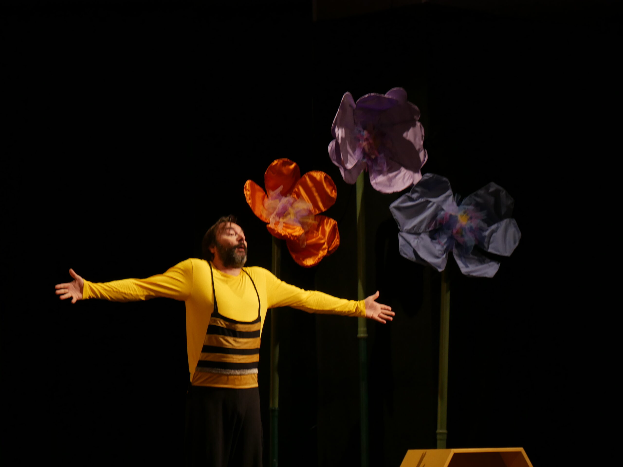 Nova predstava Pčelice